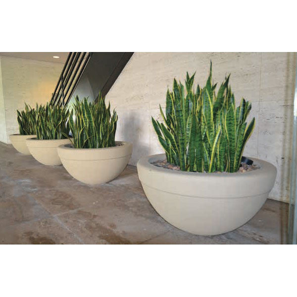Executive Low Bowl Planter 72X24