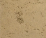 Oak Barrel Travertine